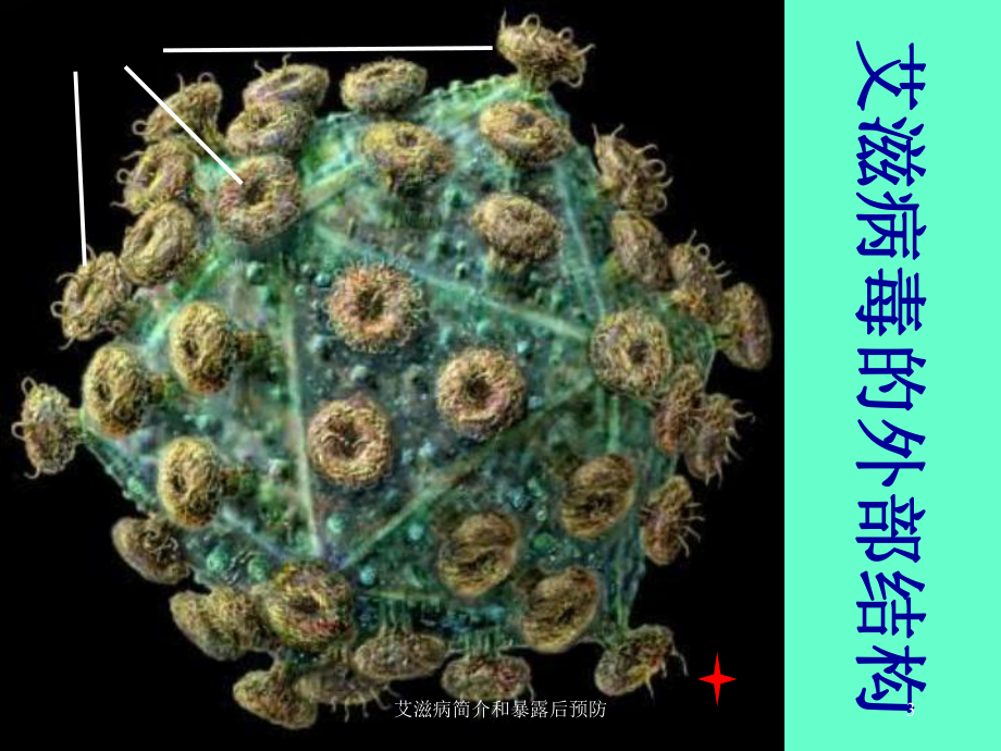 艾滋病简介和暴露后预防培训课件.ppt_第3页