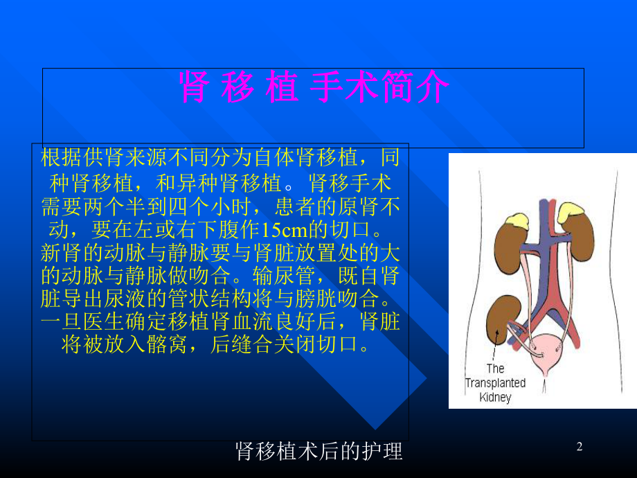 肾移植术后的护理培训课件.ppt_第2页