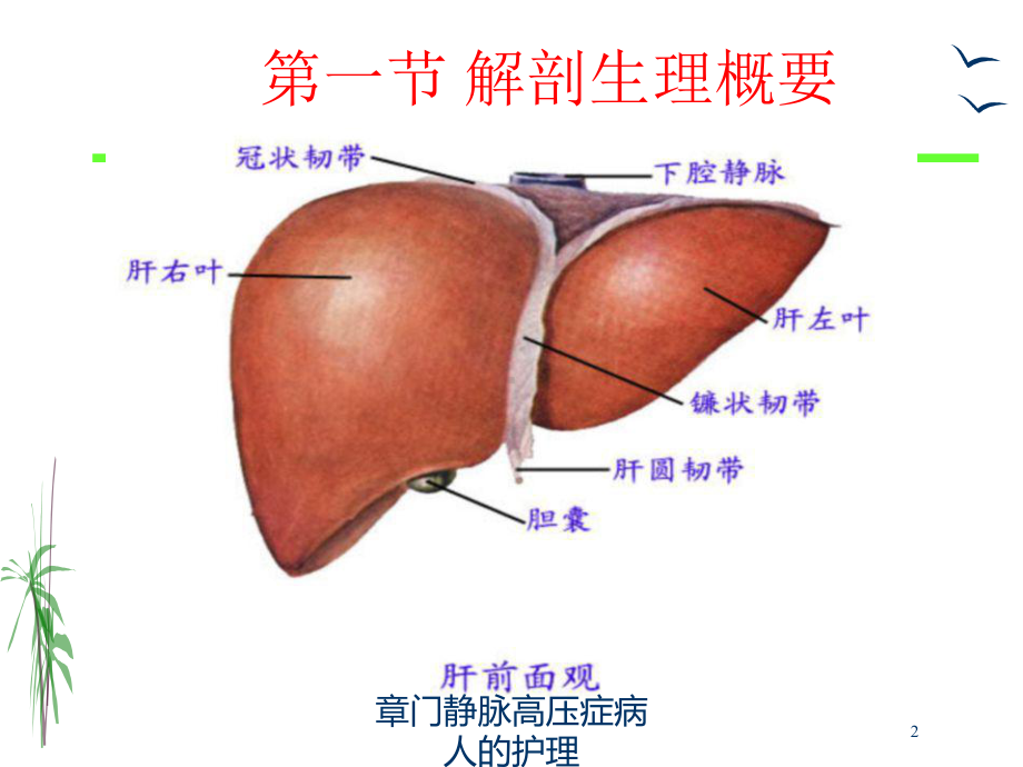 静脉高压症病人的护理培训课件.ppt_第2页