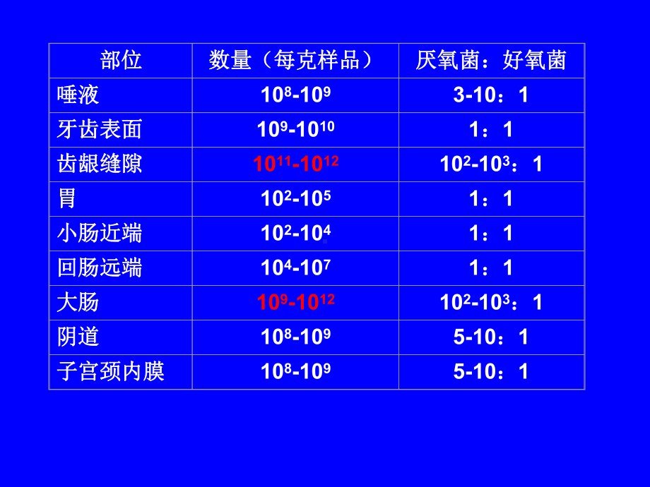 微生物生态学-44微生物与人体的相互作用课件.ppt_第3页