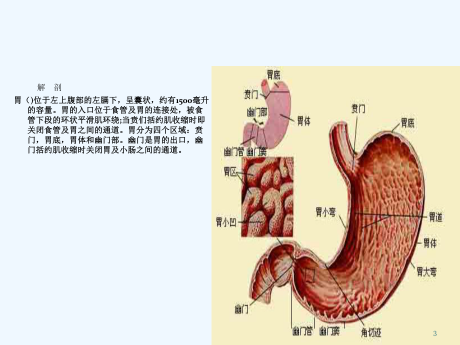 腹腔镜胃癌根治术手术配合课件-2.ppt_第3页