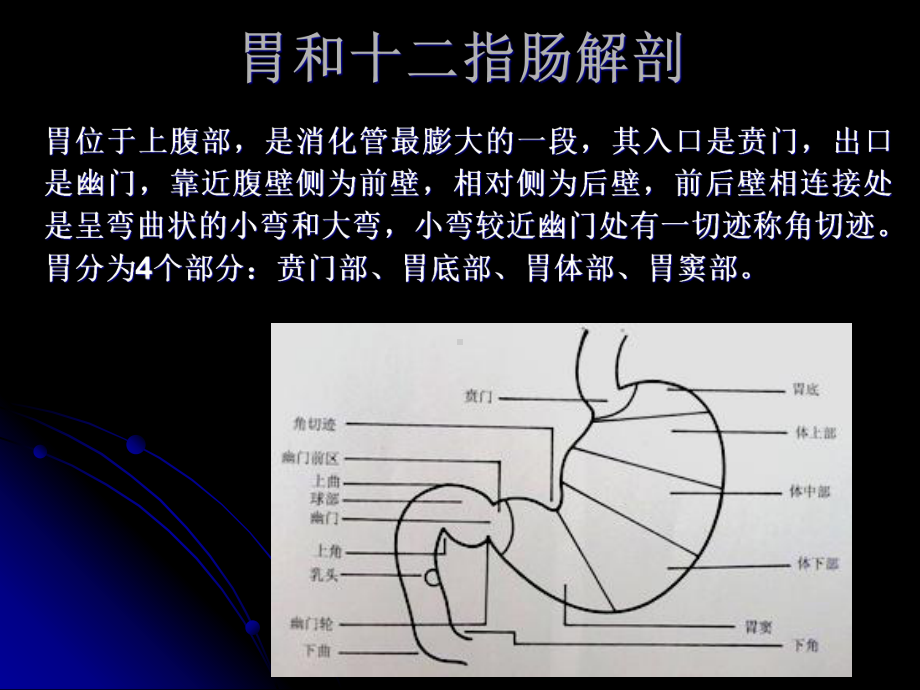 胃十二指肠疾病的内窥镜诊断课件.pptx_第3页