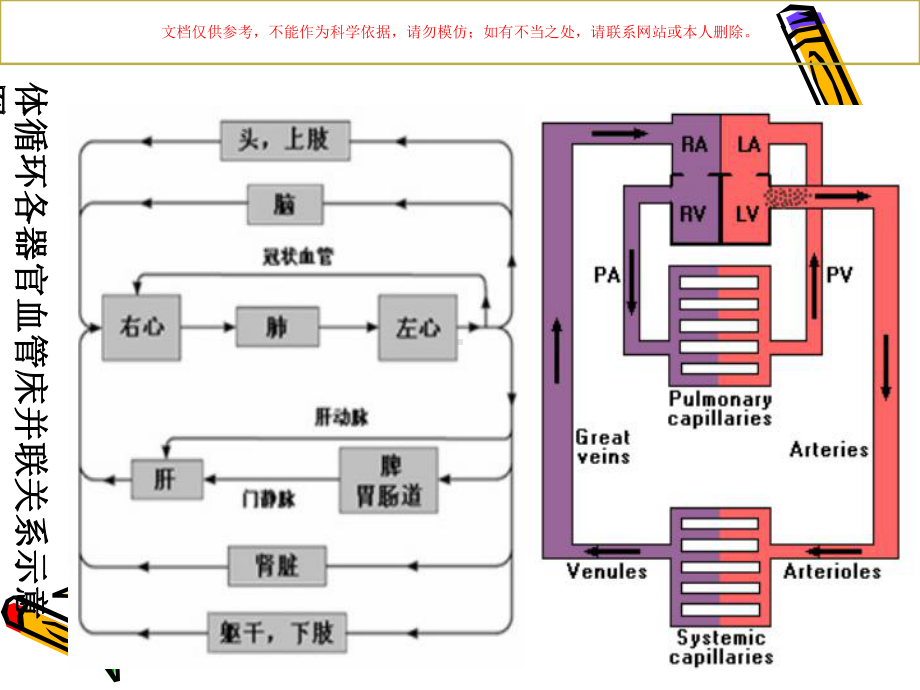 血液循环医学知识讲座培训课件.ppt_第2页