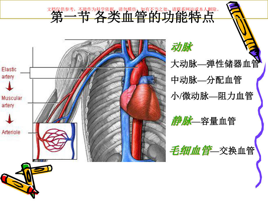 血液循环医学知识讲座培训课件.ppt_第3页