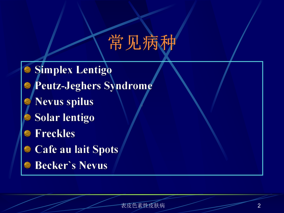 表皮色素性皮肤病课件.ppt_第2页