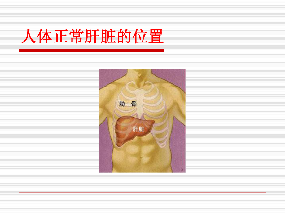 脂肪肝健康教育课件.pptx_第3页