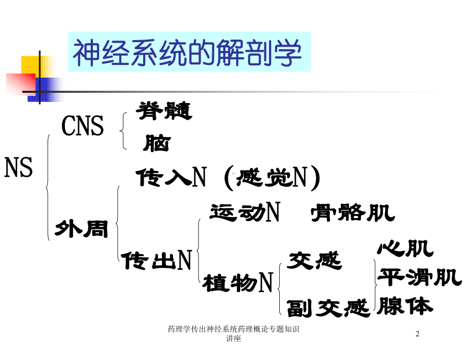 药理学传出神经系统药理概论专题知识讲座培训课件.ppt_第2页