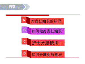 责任护理组长教学课件.pptx