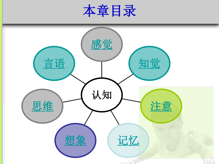 学前儿童认知的发展课件.ppt_第3页