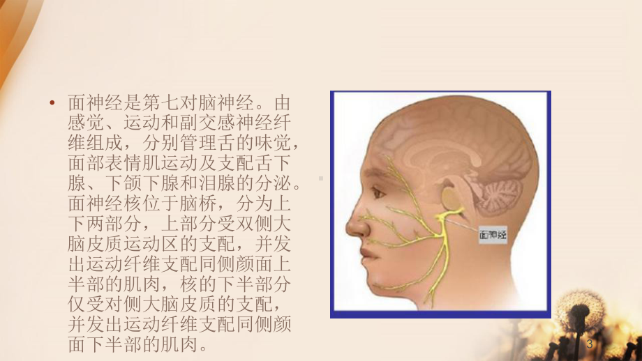 面肌痉挛患者的围手术期护理课件.ppt_第3页