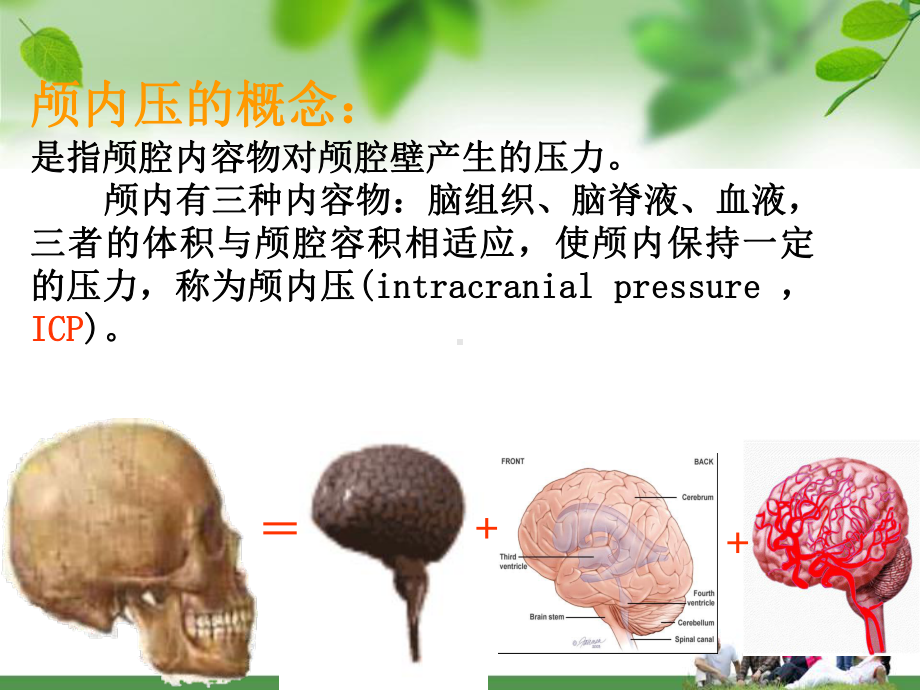 颅内高压患者的护理课件.pptx_第3页