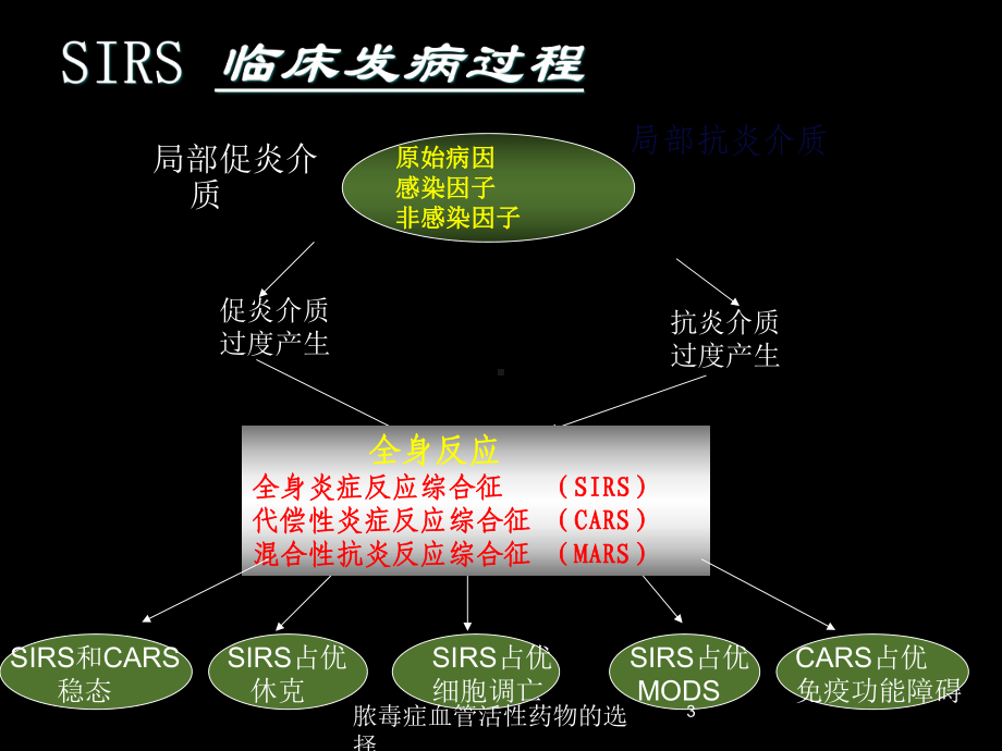 脓毒症血管活性药物的选择培训课件.ppt_第3页