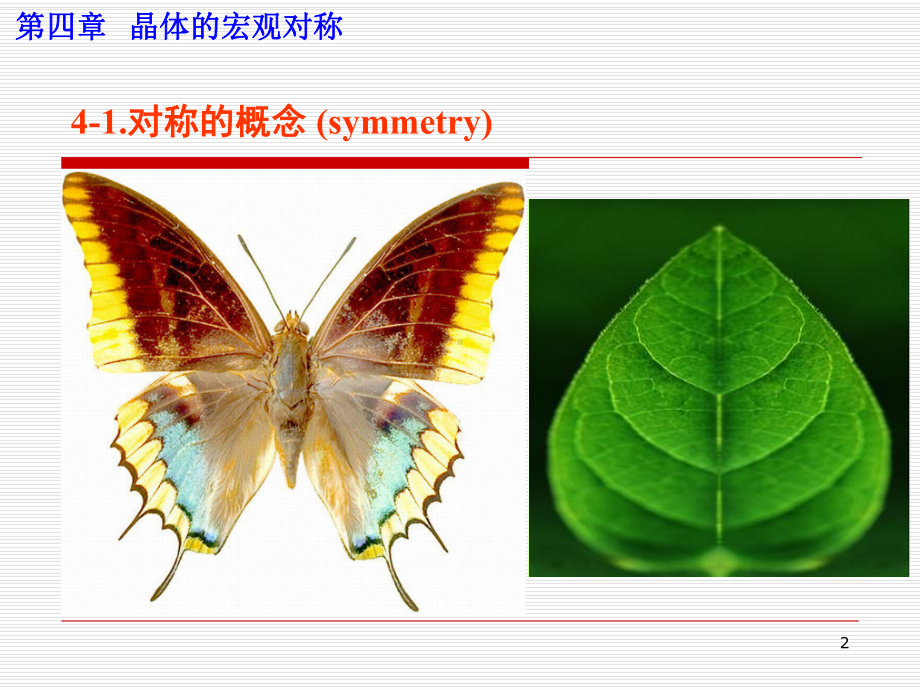 结晶学和矿物学课件-03-晶体宏观对称.ppt_第2页