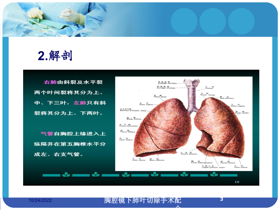 胸腔镜下肺叶切除手术配合培训课件.ppt_第3页