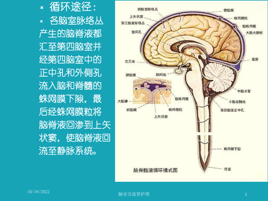 脑室引流管护理培训课件.ppt_第3页