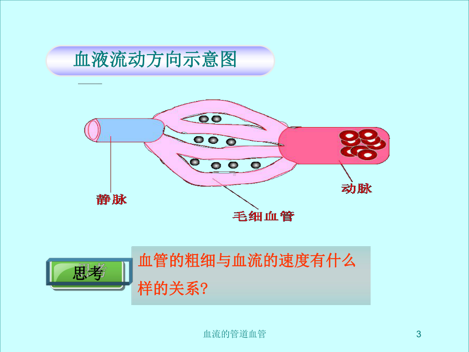 血流的管道血管培训课件.ppt_第3页