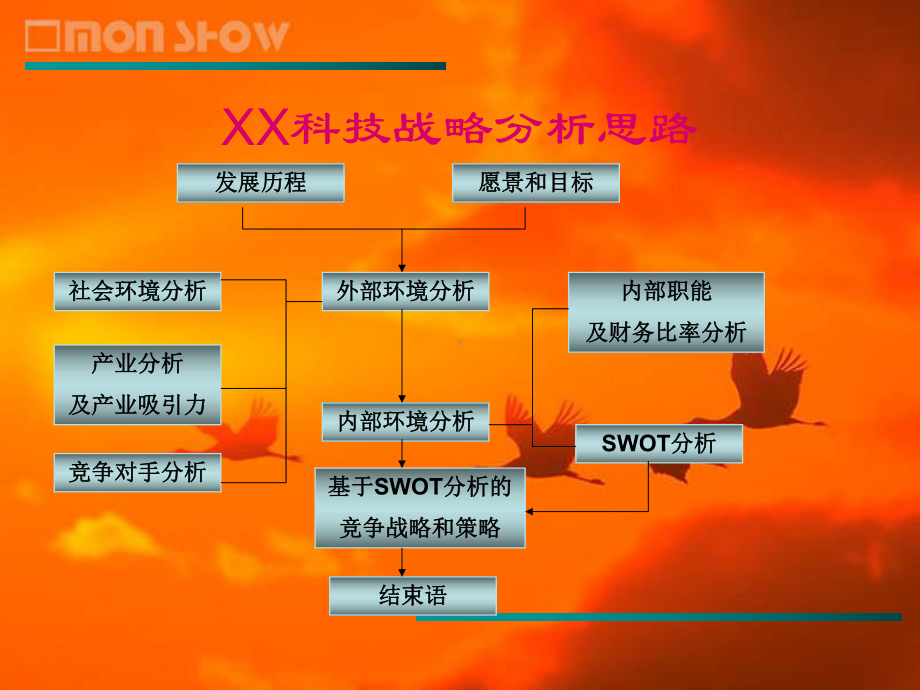 数源科技之竞争战略和策略解读课件.ppt_第2页