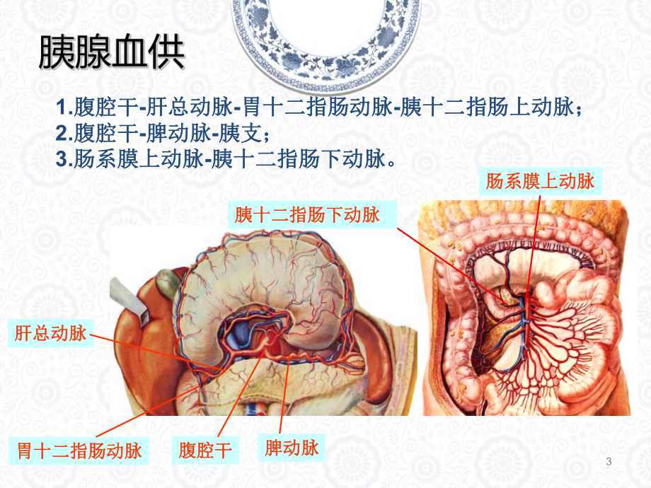 胰腺肿瘤性病变参考课件.ppt_第3页