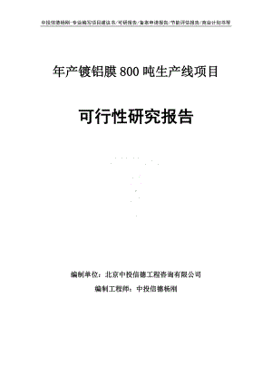 年产镀铝膜800吨生产线可行性研究报告申请建议书案例.doc