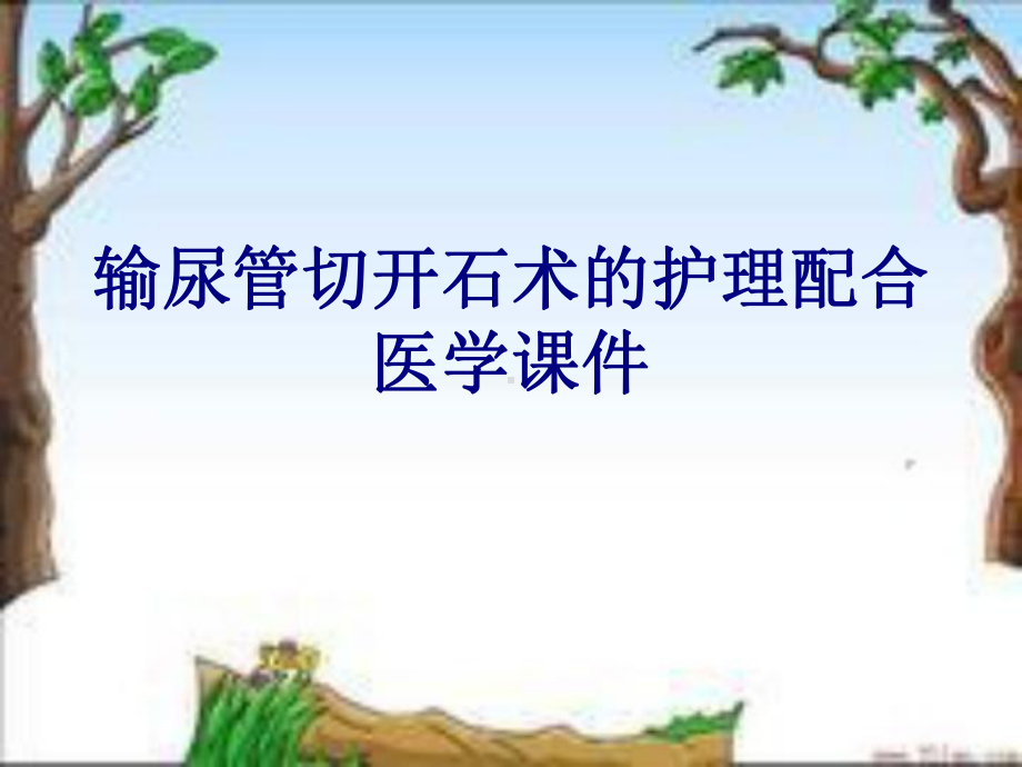 输尿管切开石术的护理配合培训课件.ppt_第1页