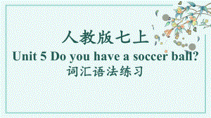 Unit 5 Do you have a soccer ball词汇语法练习（ppt课件）-2022秋人教新目标版七年级上册《英语》.pptx