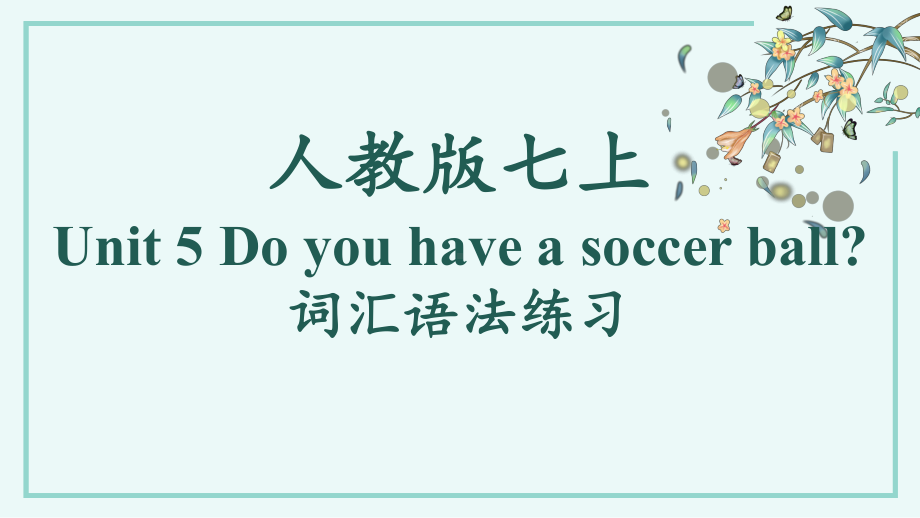 Unit 5 Do you have a soccer ball词汇语法练习（ppt课件）-2022秋人教新目标版七年级上册《英语》.pptx_第1页