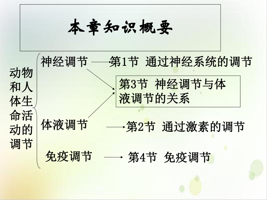 通过神经系统的调节上课很实用示范课件.ppt_第2页