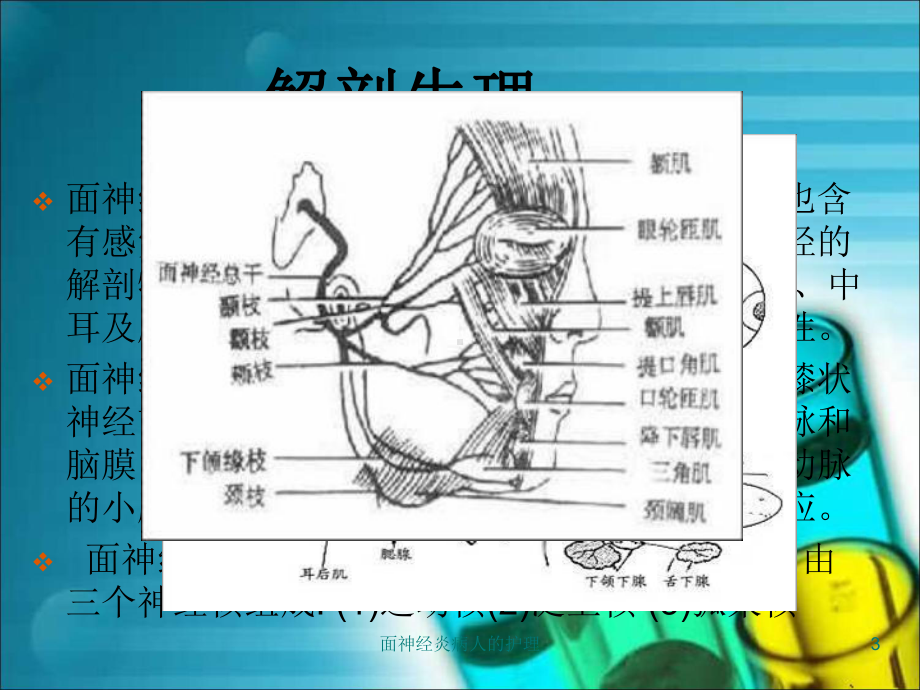 面神经炎病人的护理培训课件.ppt_第3页