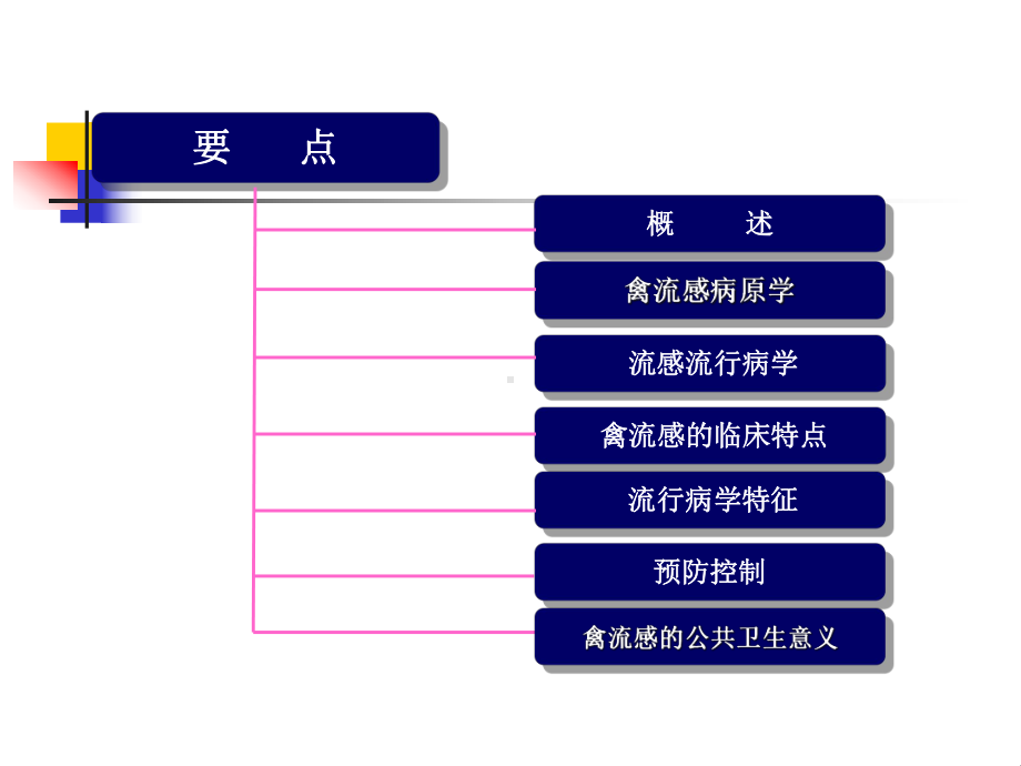 禽流感的预防与控制--公共卫生学院-课件.ppt_第2页