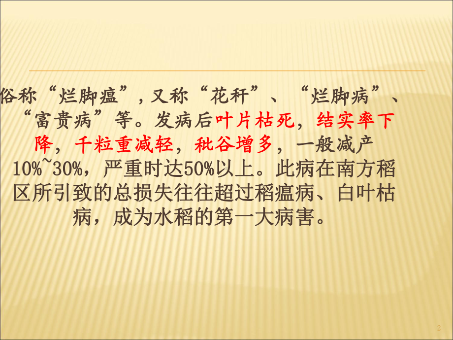 水稻纹枯病教学课件.ppt_第2页