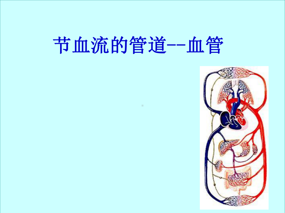 血流的管道-血管课件-13.ppt_第1页