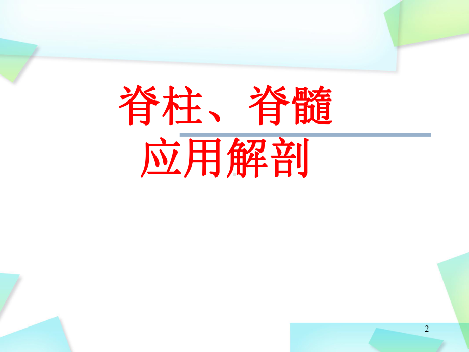 脊柱解剖图(颈胸腰椎)优质课件.ppt_第2页