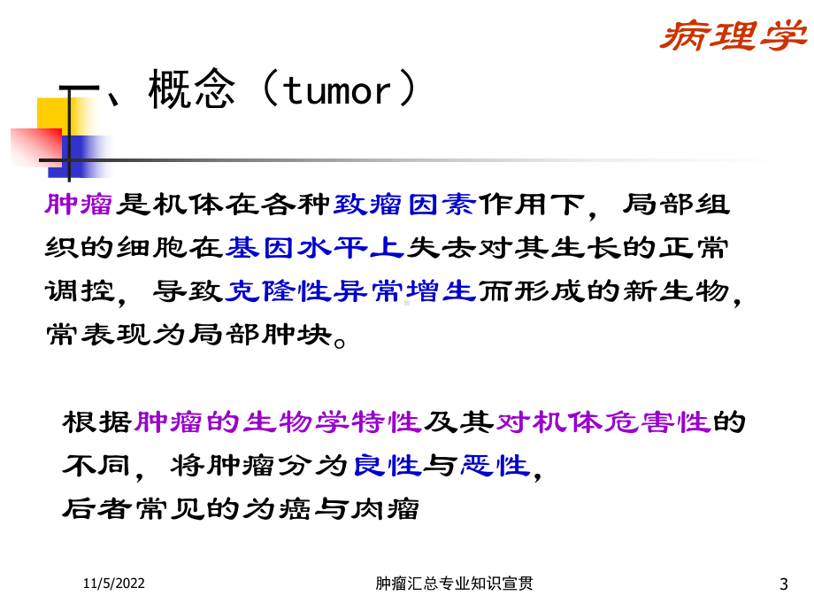 肿瘤汇总专业知识宣贯培训课件.ppt_第3页