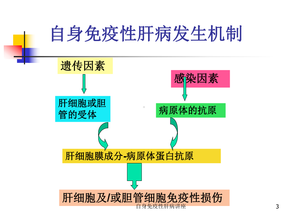 自身免疫性肝病讲座培训课件.ppt_第3页