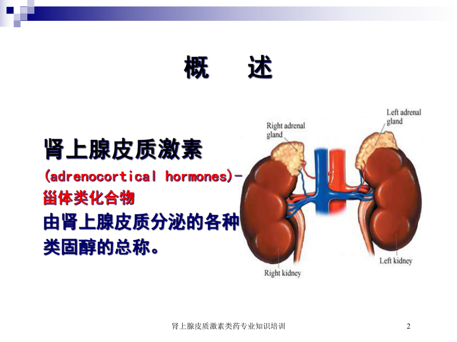 肾上腺皮质激素类药专业知识培训培训课件.ppt_第2页