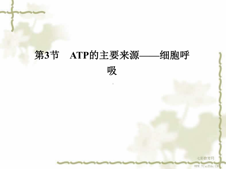 生物必修ⅰ人教新课标-53atp的主要来源-细胞呼吸课件.ppt_第1页