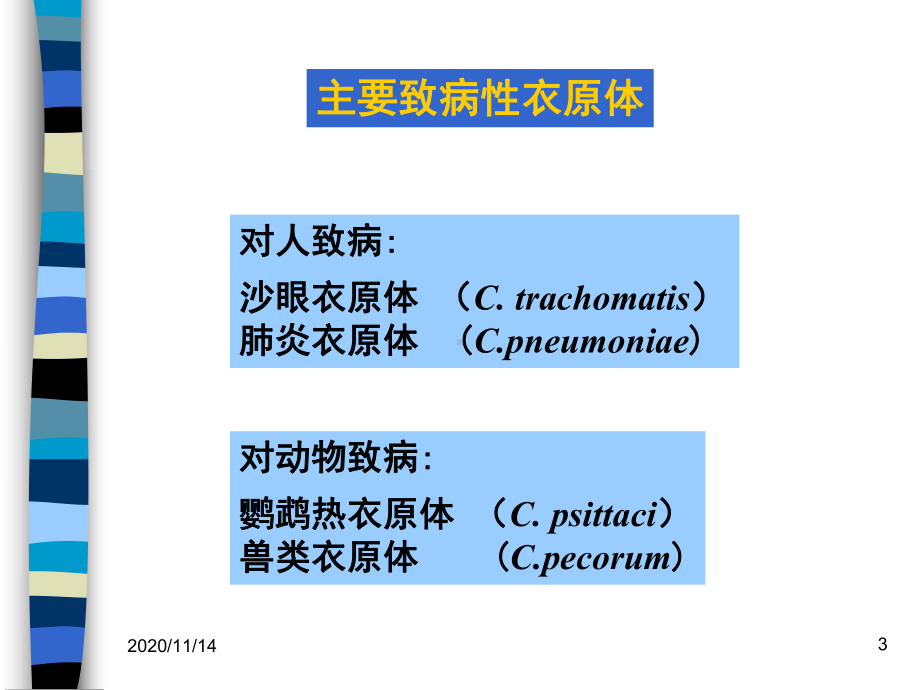 衣原体螺旋体课件.ppt_第3页