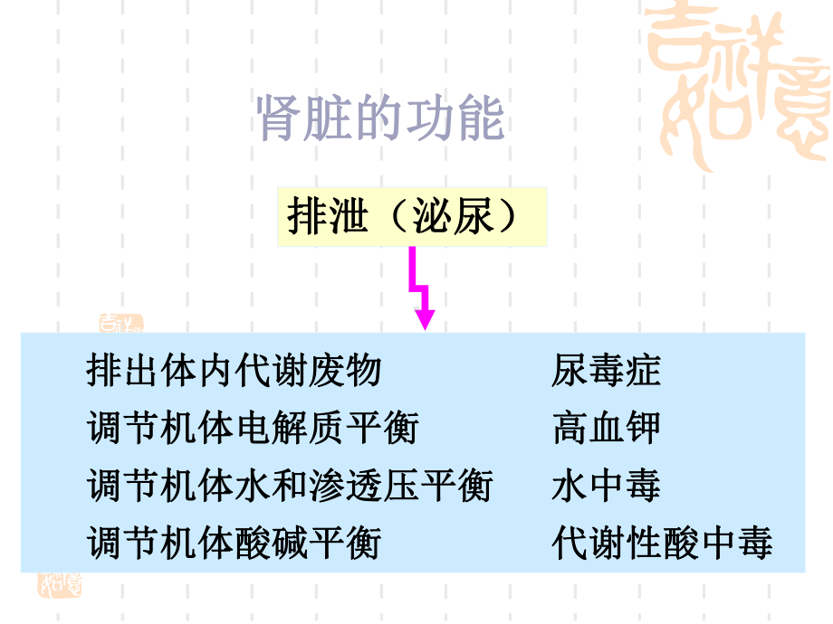 生理学排泄课件.ppt_第3页