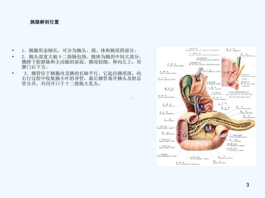 胰腺十二指肠病人的护理课件.ppt_第3页