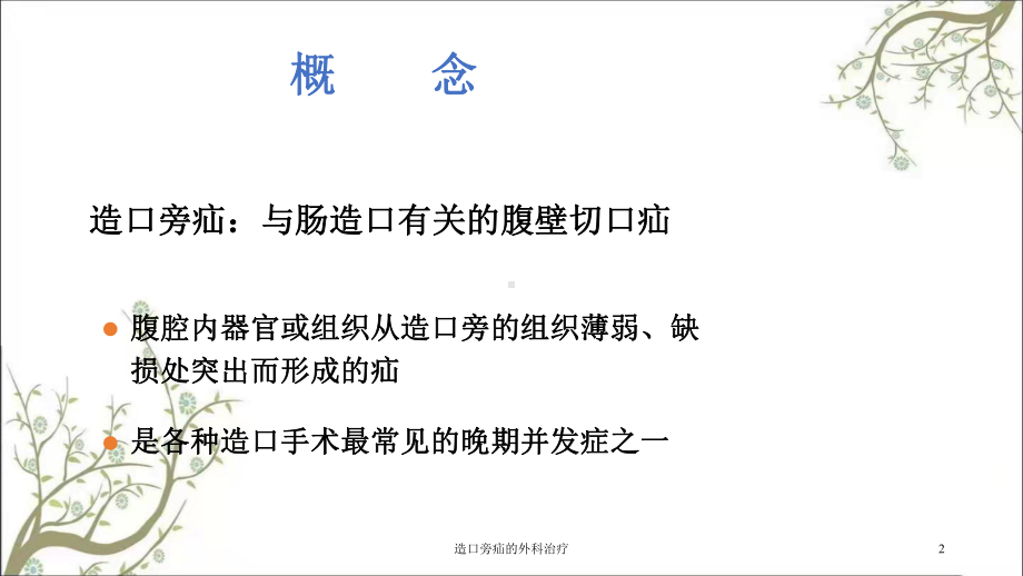 造口旁疝的外科治疗课件.ppt_第2页