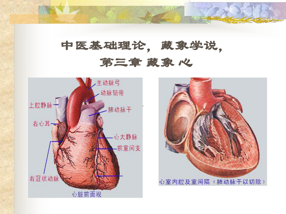 藏象学说藏象心中医学基础课件.pptx_第2页