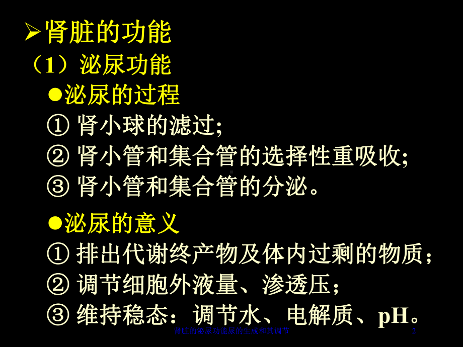 肾脏的泌尿功能尿的生成和其调节培训课件.ppt_第2页