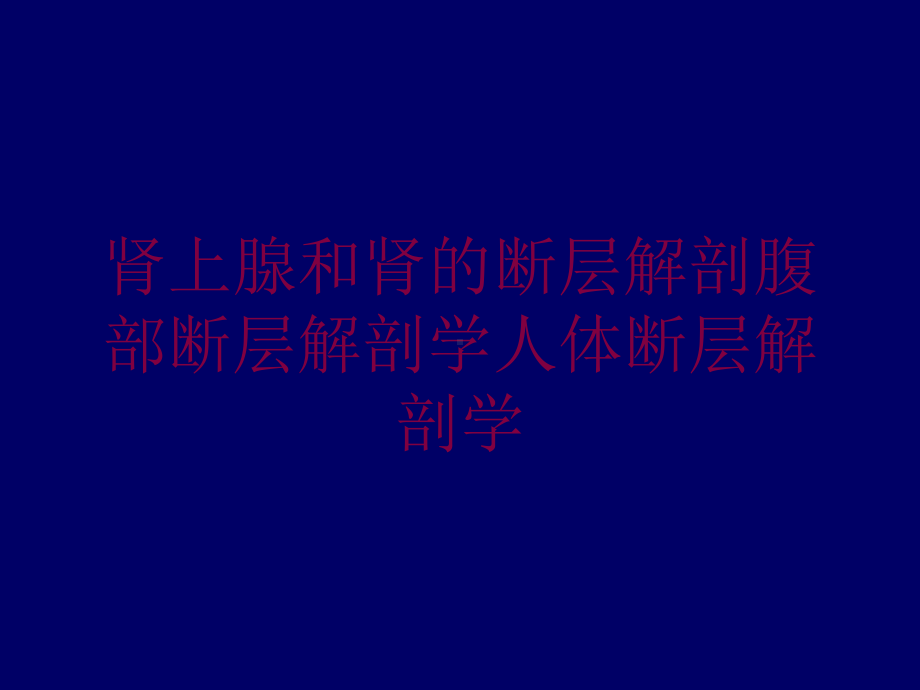 肾上腺和肾的断层解剖腹部断层解剖学人体断层解剖学培训课件.ppt_第1页