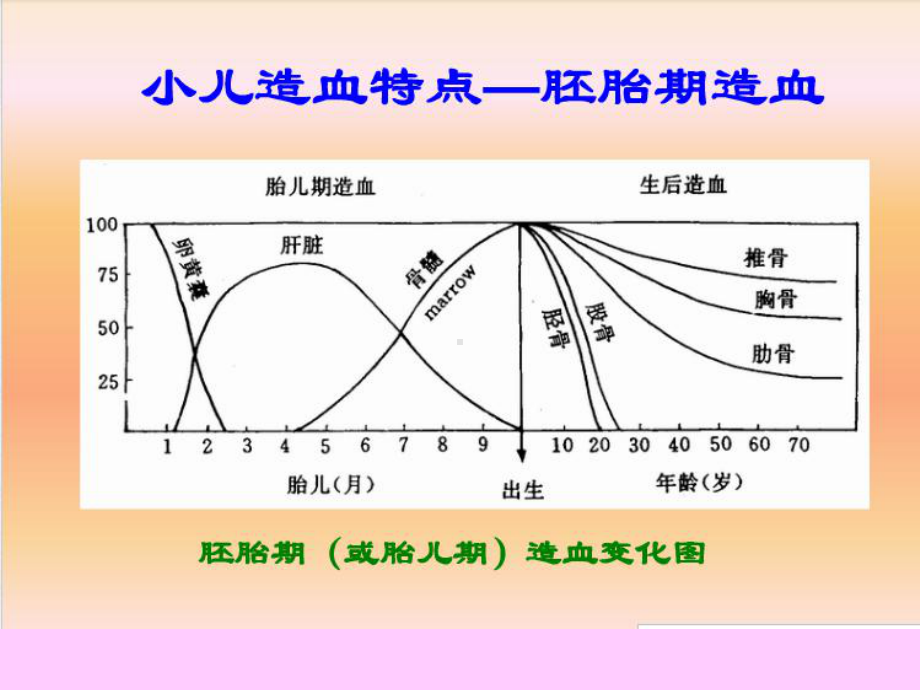 造血系统疾病患儿的护理一二四节课件.pptx_第3页