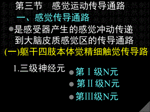 感觉运动传导通路课件.ppt