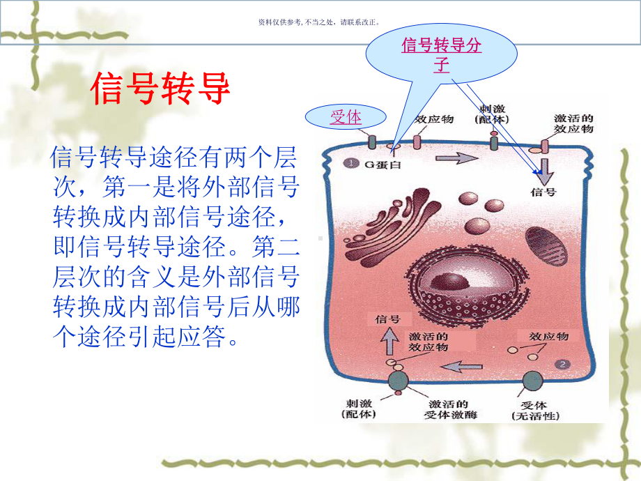 药物设计学医学宣教课件.ppt_第3页