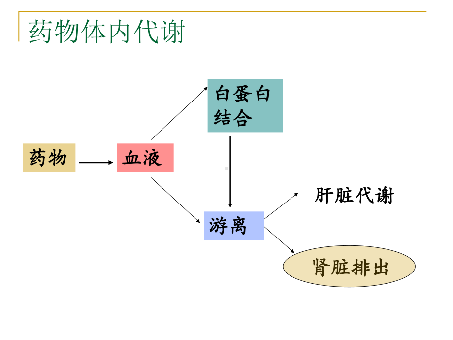 肾功能不全抗生素选择-课件.ppt_第2页