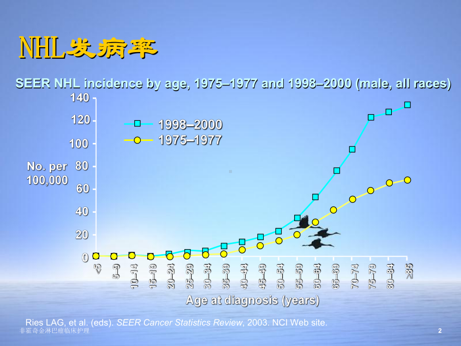 非霍奇金淋巴瘤临床护理课件.ppt_第2页