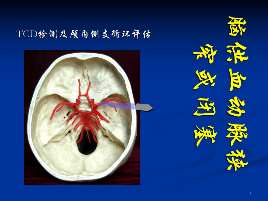 脑供血动脉狭窄或闭塞的TCD检测及颅内侧支循环评估学习课件.ppt_第1页