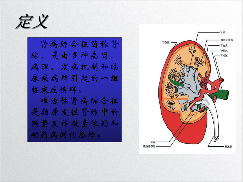 肾病综合征中西医结合治疗策略培训课件.ppt_第3页